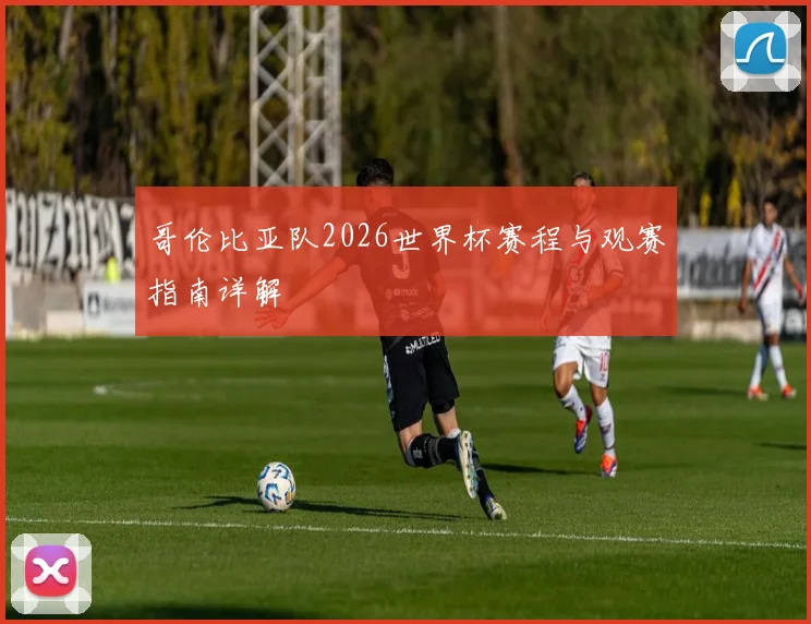 哥伦比亚队2026世界杯赛程与观赛指南详解